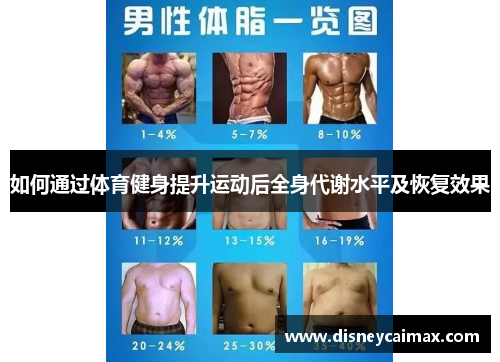 如何通过体育健身提升运动后全身代谢水平及恢复效果