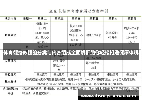 体育健身教程的分类与内容组成全面解析助你轻松打造健康体魄