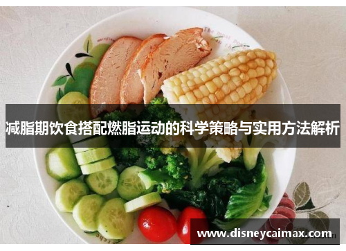 减脂期饮食搭配燃脂运动的科学策略与实用方法解析